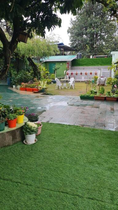 Olive Greens Homestay Dehradun Bagian luar foto