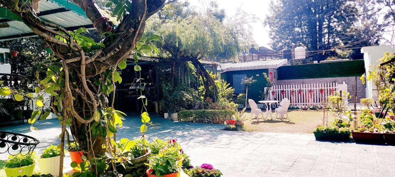 Olive Greens Homestay Dehradun Bagian luar foto