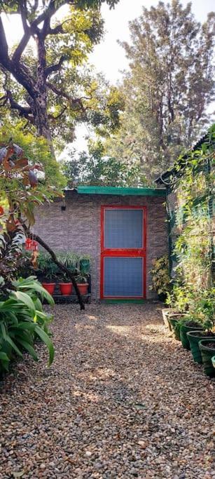 Olive Greens Homestay Dehradun Bagian luar foto